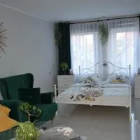 Apartament u Danusi，位于兹沃蒂斯托克的酒店