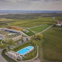 Domeniul Vila Dobrusa - Crama AVINCIS，位于Drăgăşani的酒店