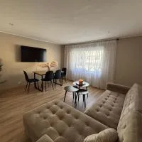 Comfortable apartment in Ålesund，位于奥勒松的酒店