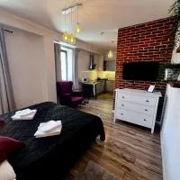 Apartamenty Łowicz，位于沃维奇的酒店