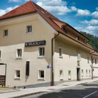 Vila Sofia，位于特尔日奇的酒店