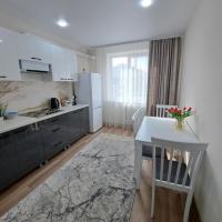 AirApartment，位于基希讷乌基希讷乌国际机场 - RMO附近的酒店