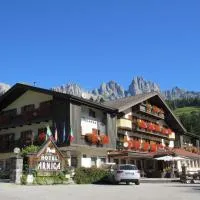 Park Hotel Arnica，位于法尔西德的酒店