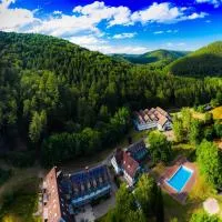 Die Heilsbach gGmbH,位于Fischbach bei Dahn的酒店