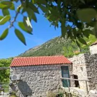 Cottage Melita the Apartment for Animal Lovers，位于巴比诺波尔杰的酒店