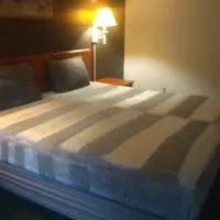 2 Double Beds Hotel Studio 105，位于利文斯顿的酒店