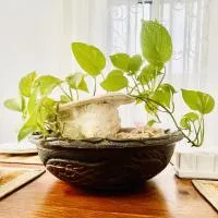 Kwale Residence，位于桑给巴尔阿贝德·阿曼尼·卡鲁姆国际机场 - ZNZ附近的酒店