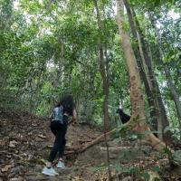 JIVA Nest Self-Service Tiny Home in Rainforest Nest with Kitchen - WiFi, Monkeys, Bats!，位于Subic Bay Intl苏比克湾国际机场 - SFS附近的酒店