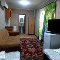 Shiraz，位于Agarak的酒店
