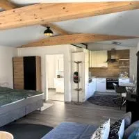 Apartment zur Schnapsstraße，位于Ybbsitz的酒店