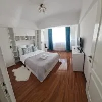 Apartament Oașul，位于内格雷什蒂瓦什的酒店