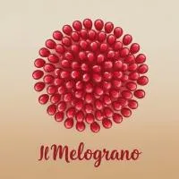 Il Melograno，位于Martis的酒店