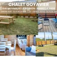 Chalet Goyavier - 4pers-Sud sauvage - By Sister Home，位于Anse的酒店