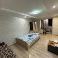 JetStay Studio Almaty Airport,位于Turksib的酒店