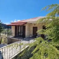 Tsigaridas Mountain Home，位于Neokhórion的酒店