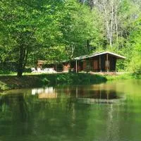 Chalet - gîte avec étang,位于Deneuvre的酒店