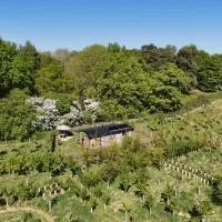 Oskar's Shepherd's Hut at Snug Hollow，位于Raithby的酒店