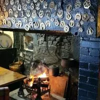 The Tuckers Arms，位于Dalwood的酒店