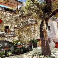 Shasi Eco Lodge，位于Ambula的酒店