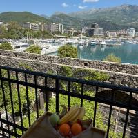 阿勒克斯旧城公寓酒店，位于布德瓦的酒店