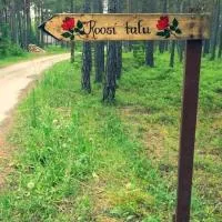 Roosi Camping Houses，位于冉那库拉的酒店