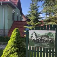 Bakonyi Mamutfenyő Vendégház,位于Tés的酒店