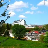 Werrapark Resort Hotel Frankenblick,位于马瑟尔贝格的酒店