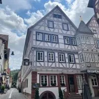 Hotel Schwanen，位于莫斯巴赫的酒店