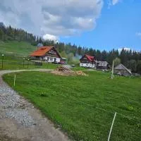 Pensiunea Scarisoara，位于Gheţari的酒店