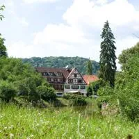 Logis Hôtel-Restaurant Auberge d'Imsthal，位于拉佩蒂特皮耶尔的酒店