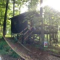 River Ridge Cabins，位于芒廷维尤的酒店