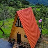 Cozy House Gulebi,位于Keda的酒店