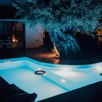 Villa di Vino，位于雷夫卡达镇的酒店