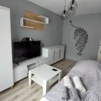 MagMar Studio Byczyna，位于Byczyna的酒店