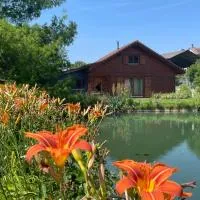 Chalet au bord d'un étang，位于Ueberstrass的酒店