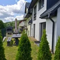 Ważka - apartament 6 osobowy，位于Krzeszów的酒店