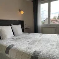 Logis Hotel Au Rendez-vous des Chasseurs，位于Noirétable的酒店
