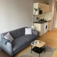Joli studio au coeur des thermes，位于罗亚的酒店