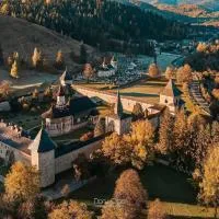 Casa Adi Sucevița，位于Voivodeasa的酒店