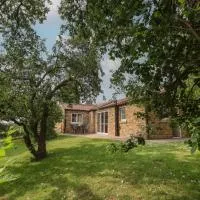 Apple Tree Cottage，位于约克的酒店