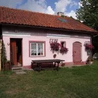 Agroturystyka Oczko，位于Ogonki的酒店