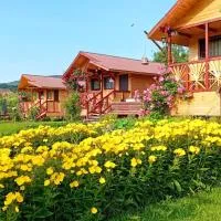 Baltina Parc Transfagarasan，位于阿尔杰什河畔库尔泰亚的酒店