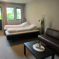 Elvehagen Hotell，位于Sande的酒店