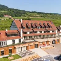 Hôtel Terra Vinum,位于吉博斯韦尔的酒店