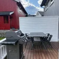Sentrumsnært hus，位于Rjukan的酒店