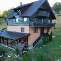Cabana Georgiana Maria，位于Gheţari的酒店