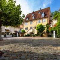 Hotel & Spa A la cour d'Alsace by HappyCulture，位于奥贝奈的酒店