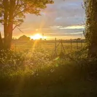 Urlaub auf dem Alpakahof Nähe Velgast，位于Velgast的酒店