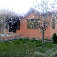 Fatah Kin Guest House，位于SkarduSkardu Airport - KDU附近的酒店