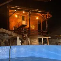 Cabana Revnic，位于博伊什瓦拉的酒店